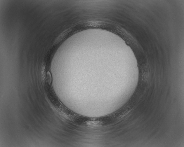 X0000082990216200702230109