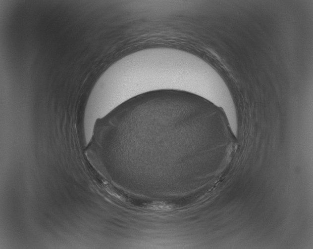 X0000082990217200702230109