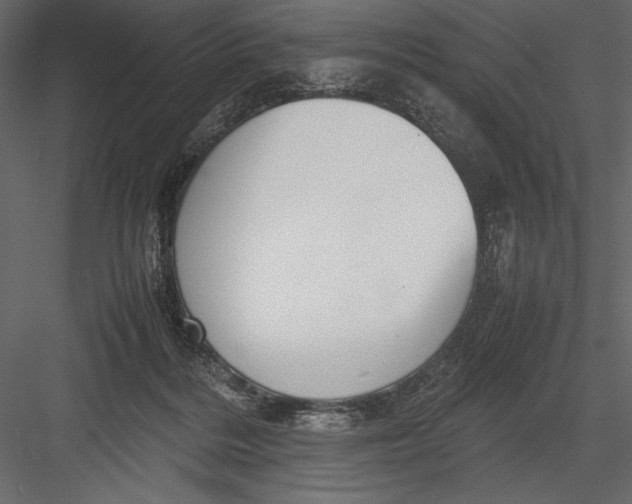 X0000082990220200702230109