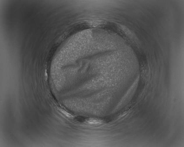 X0000082990221200702230109