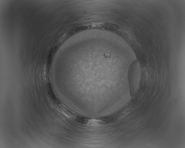 X0000082990222200702230109