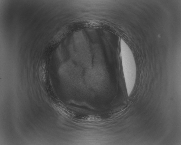 X0000082990223200702230109