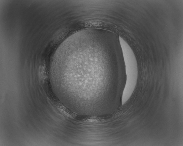 X0000082990224200702230109