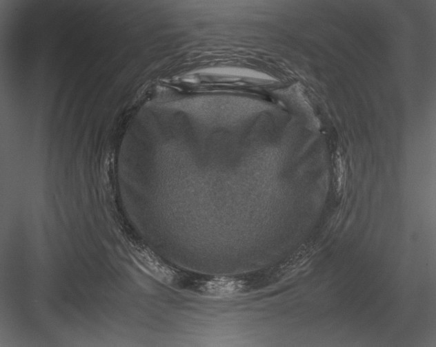 X0000082990225200702230108