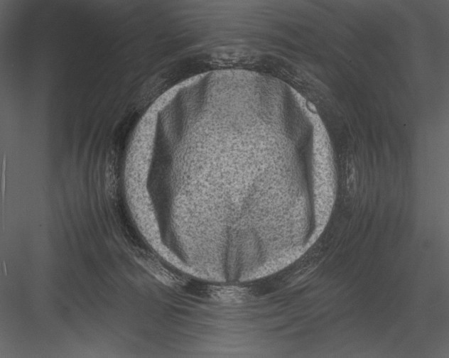 X0000082990226200702230108