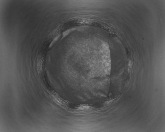 X0000082990227200702230108