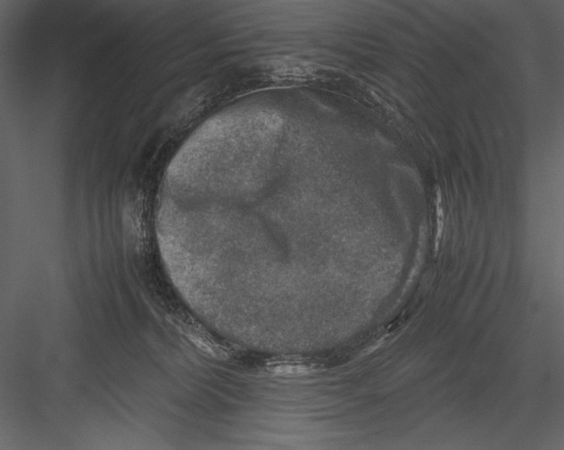 X0000082990228200702230108