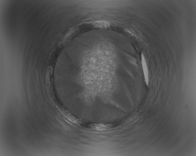 X0000082990229200702230108