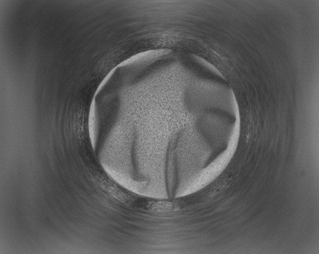 X0000082990230200702230108