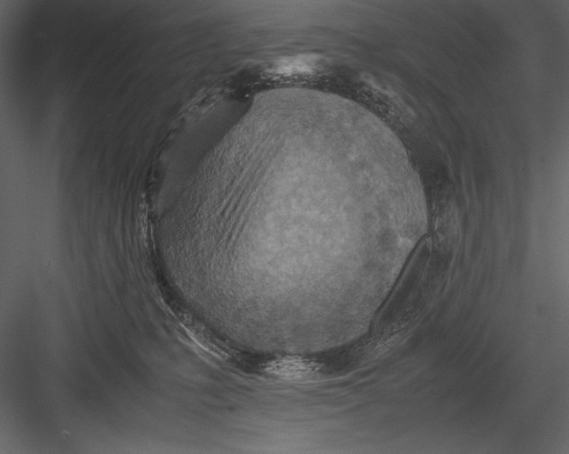 X0000082990231200702230108