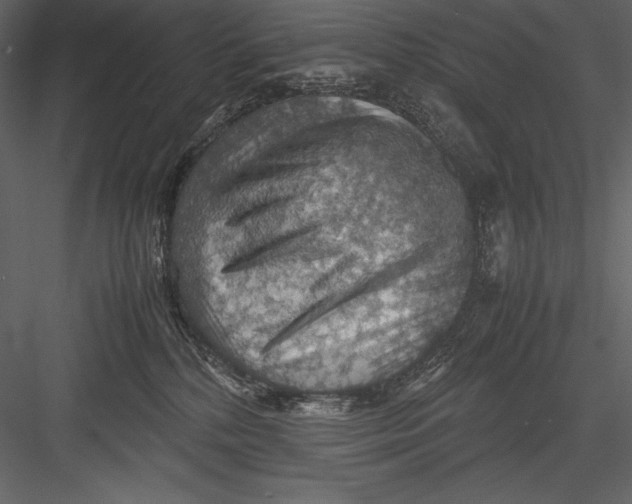 X0000082990232200702230108