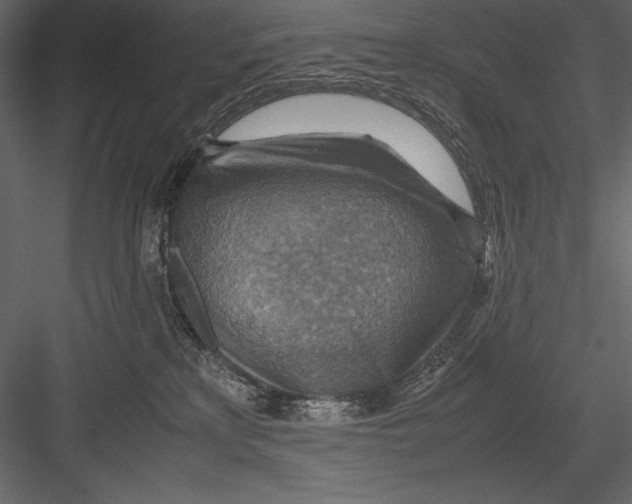 X0000082990233200702230108