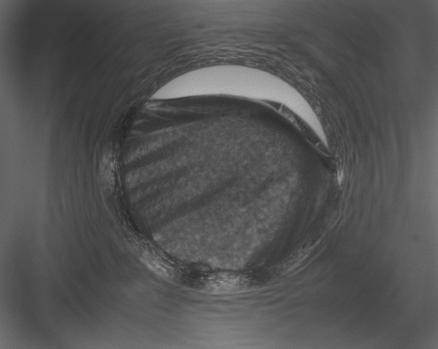 X0000082990235200702230108