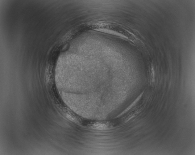 X0000082990236200702230108