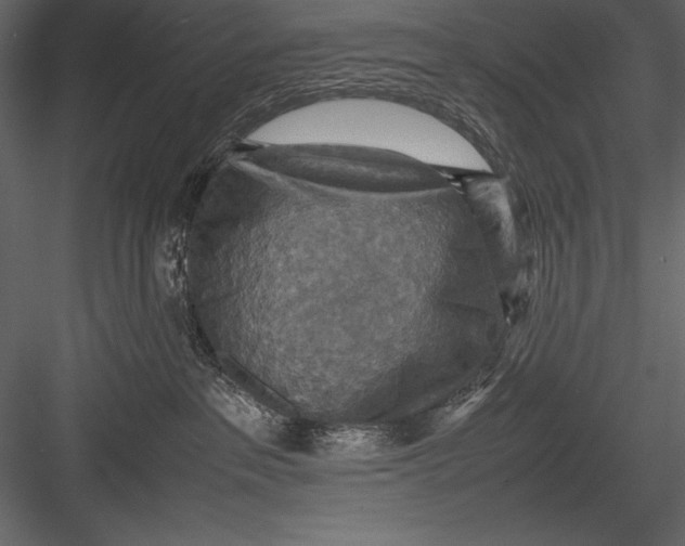 X0000082990237200702230108