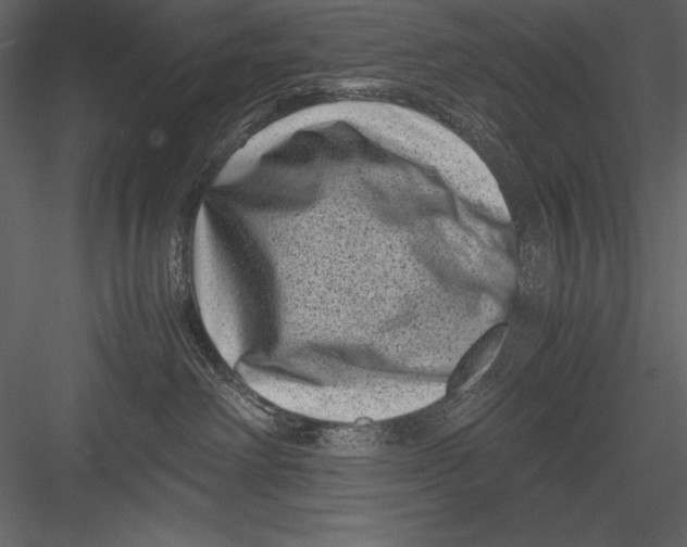 X0000082990238200702230108