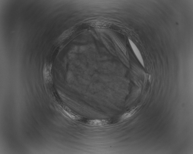 X0000082990239200702230108