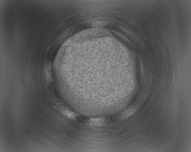 X0000082990240200702230108