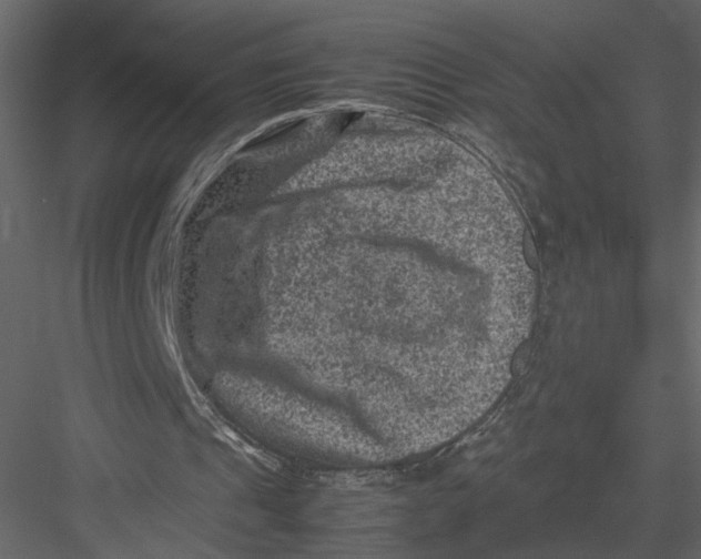 X0000082990241200702230107