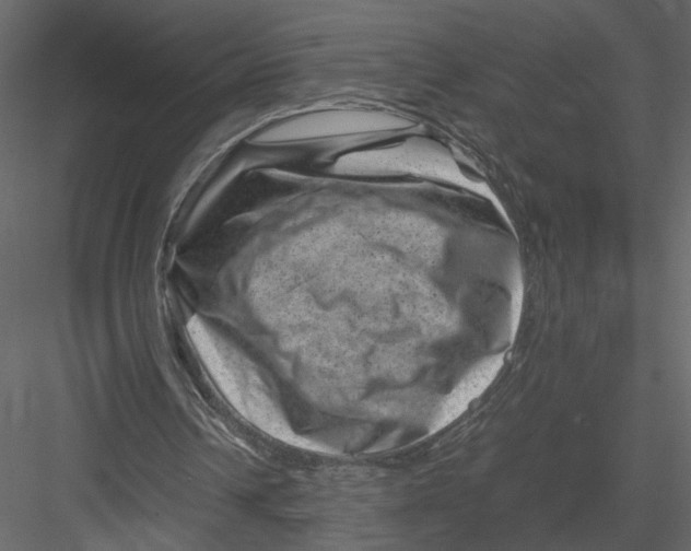 X0000082990242200702230107