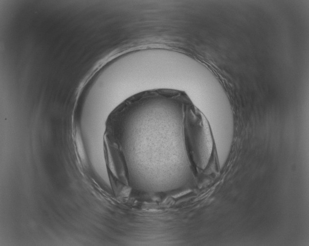 X0000082990244200702230107