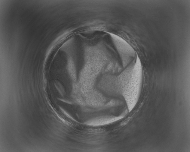 X0000082990245200702230107