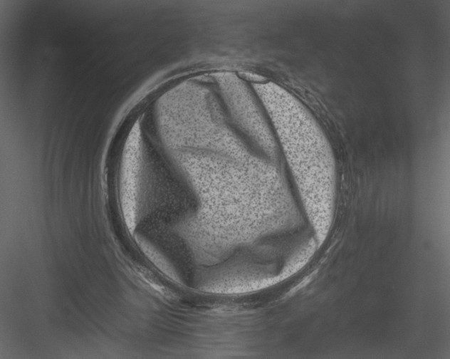 X0000082990246200702230107