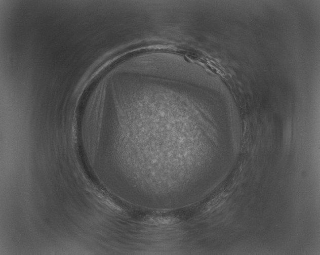 X0000082990247200702230108