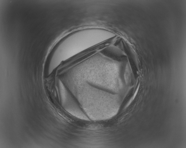 X0000082990248200702230108