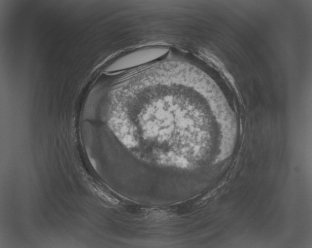 X0000082990249200702230108