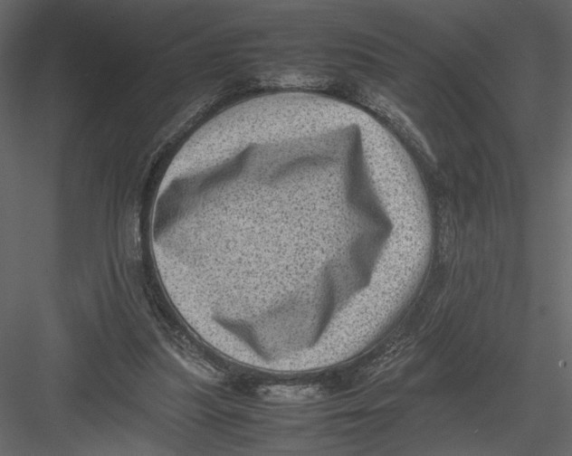 X0000082990251200702230108