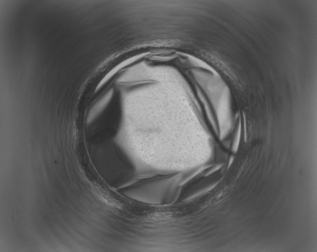 X0000082990252200702230108