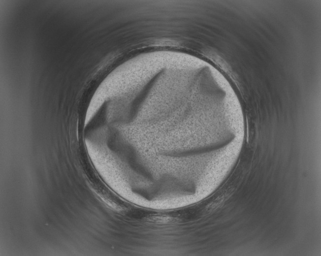 X0000082990253200702230108