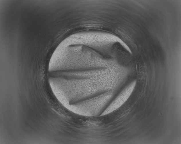 X0000082990255200702230108