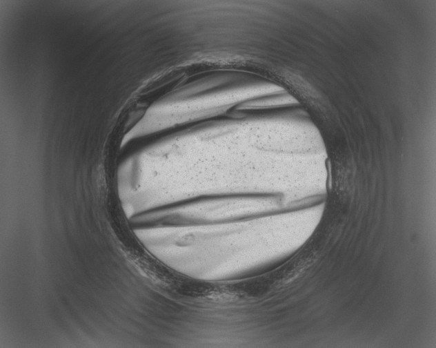 X0000082990256200702230108