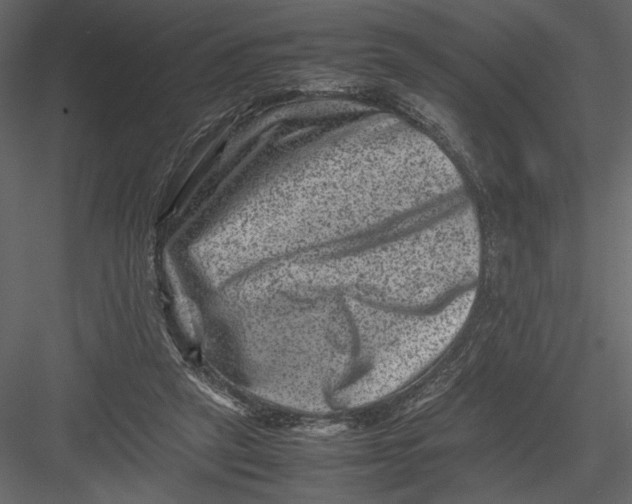 X0000082990257200702230108