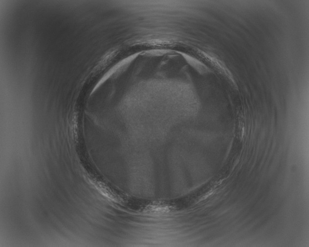 X0000082990260200702230108