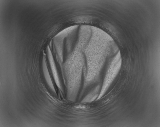 X0000082990261200702230108