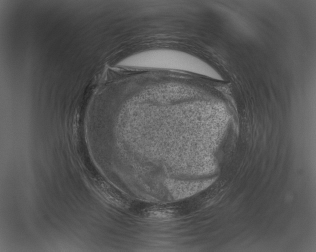 X0000082990263200702230108