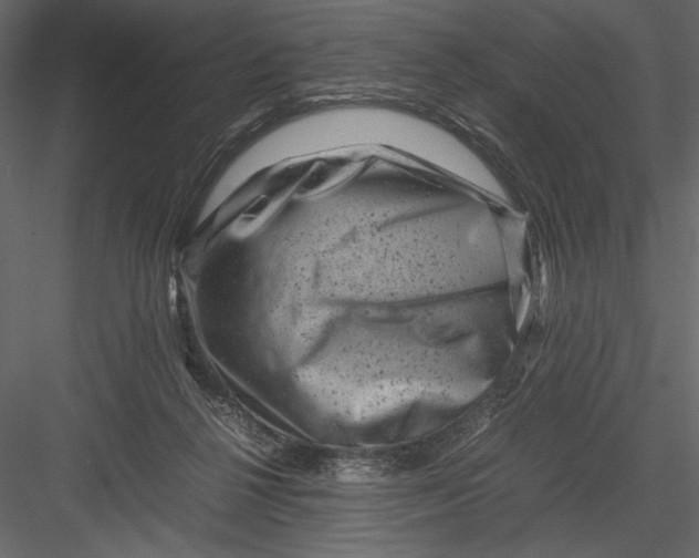 X0000082990264200702230108