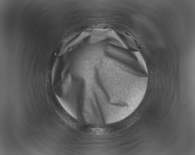 X0000082990265200702230108