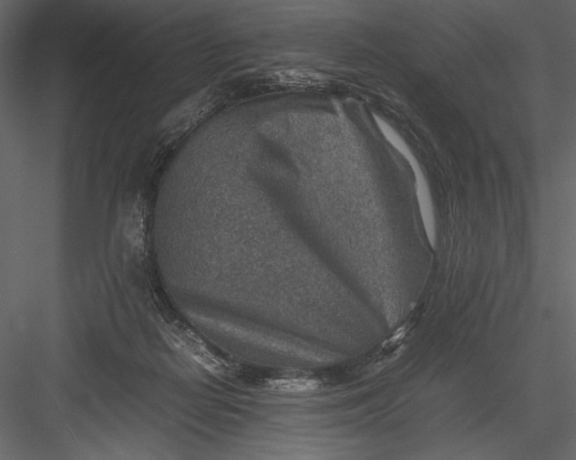 X0000082990266200702230108