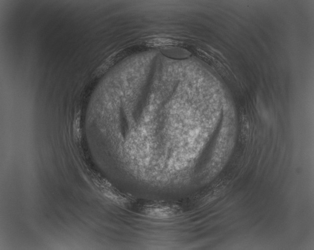 X0000082990267200702230108