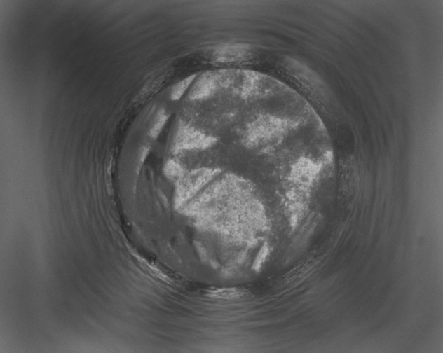 X0000082990269200702230108