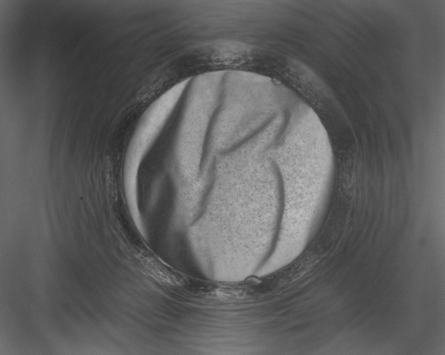 X0000082990270200702230108