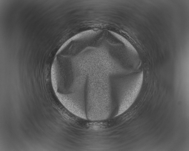 X0000082990273200702230108