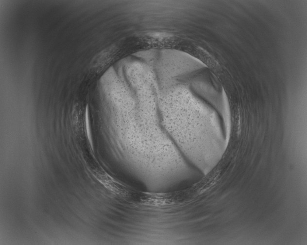 X0000082990276200702230108