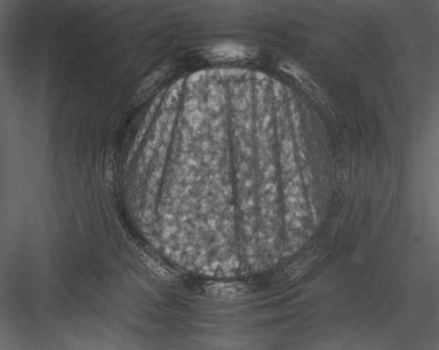 X0000082990277200702230108