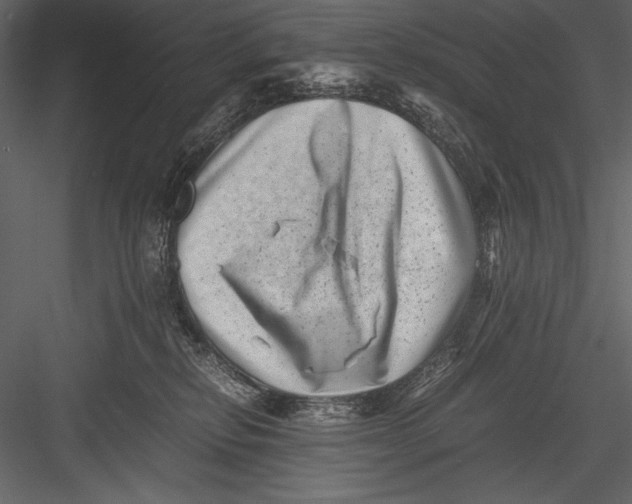 X0000082990278200702230108