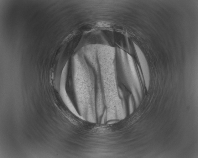 X0000082990280200702230108